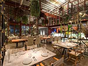 Tailand Bangkok Vivarium restaurant furniture-round wood restaurant table and nails decor fabric sofa chairs, folded arm dining chairs